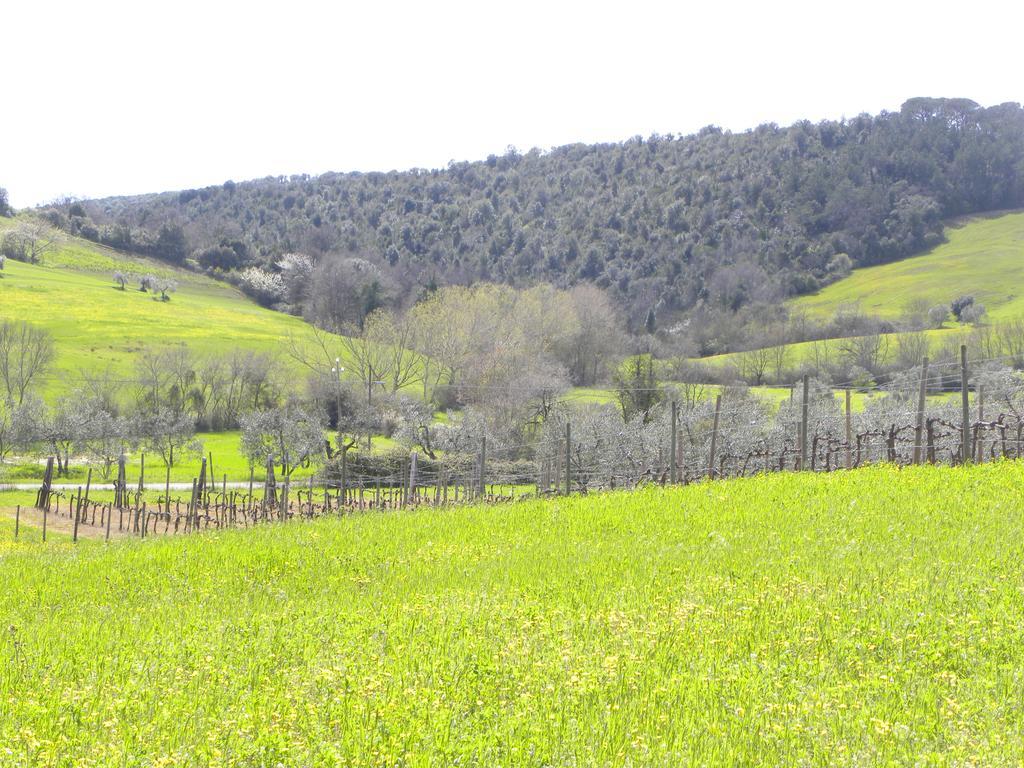 Agriristoro Podere S. Andrea Massa Marittima Exterior photo